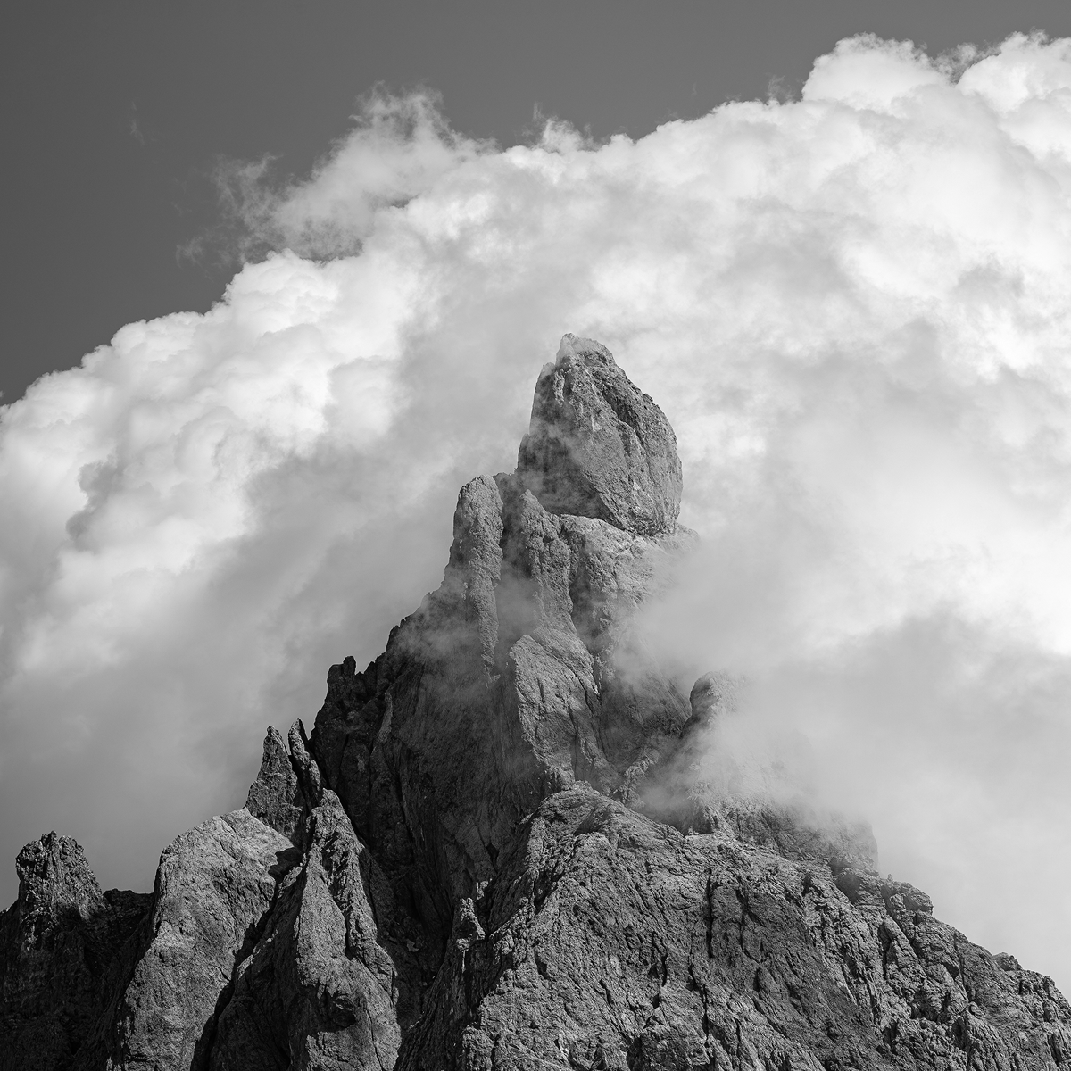 Photo by Alessandro Borgonovi